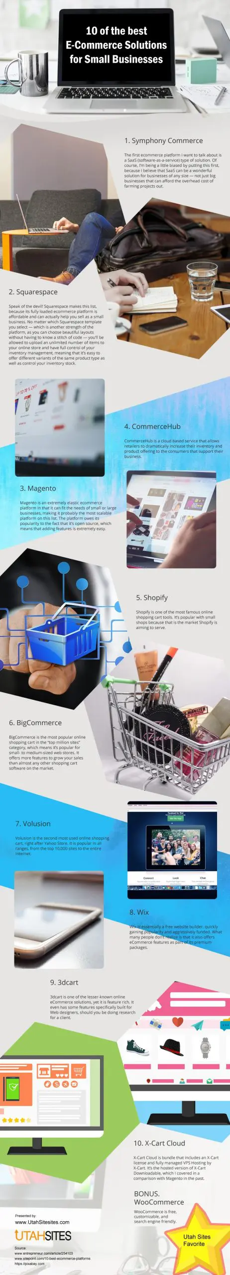 Best-E-Commerce-Software-for-Small-Business Infographic