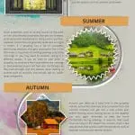 Which-Season-is-the-Best-Time-To-Sell-A-Home Infographic