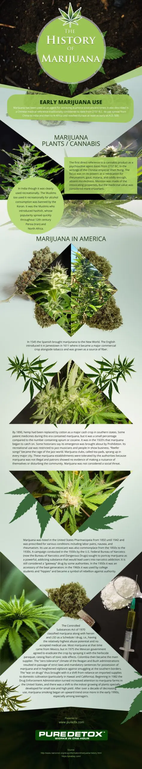 The History of Marijuana The-History-of-Marijuana Infographic