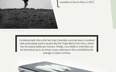 Countries that Produce the Most Cocaine