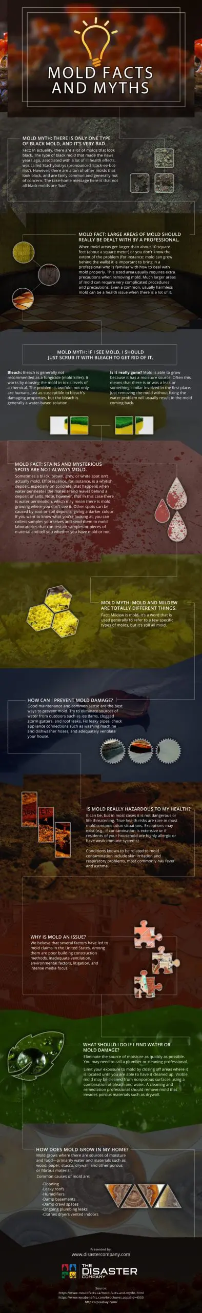 Mold Facts and Myths Mold-Facts-and-Myths Infographic