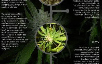 How Marijuana Became Illegal