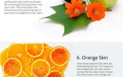 Natural Air Freshener Ingredients to Remove the Foul Odor in Homes