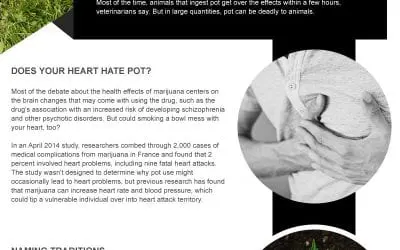 Interesting Facts About Marijuana
