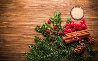 Holiday Infographics Ideas