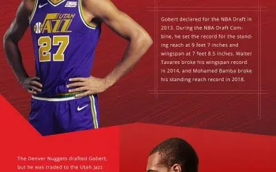 Rudy Gobert Career Stats