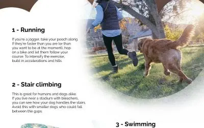 5 Exercises to Keep You and Your Dog Healthy