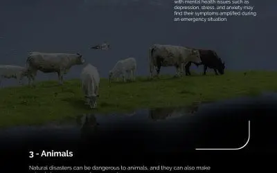 4 Flood Dangers to Watch Out For