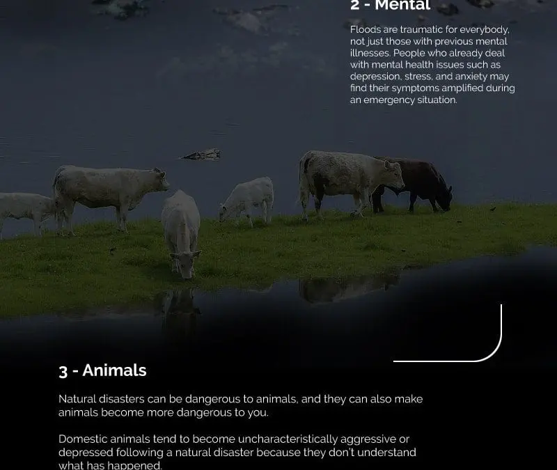 4 Flood Dangers to Watch Out For