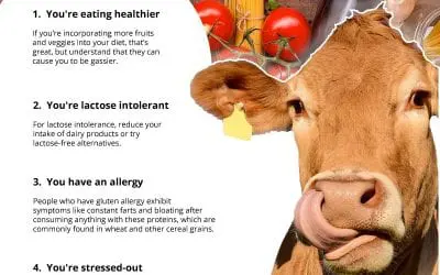 5 Reasons You Can’t Stop Farting