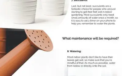 17 Ways to Grow a Garden in Your Kitchen