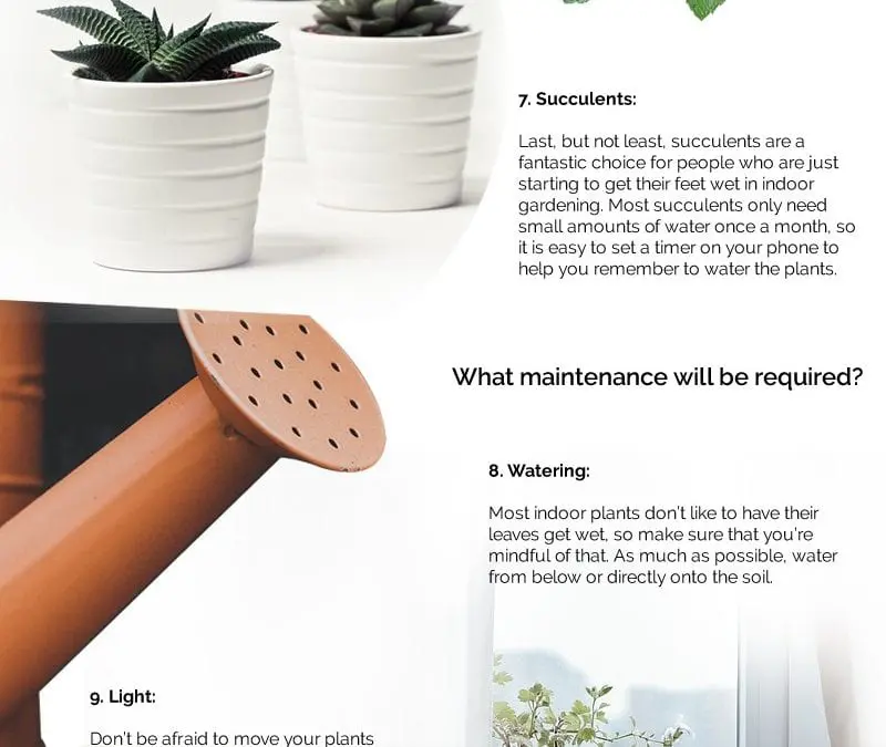 17 Ways to Grow a Garden in Your Kitchen