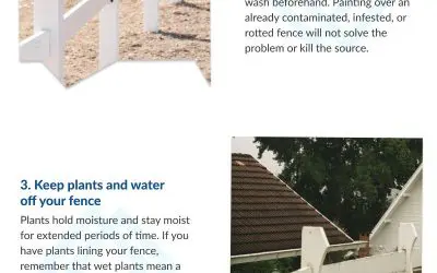 5 Tips to Protect Your Wood Fence from Damage