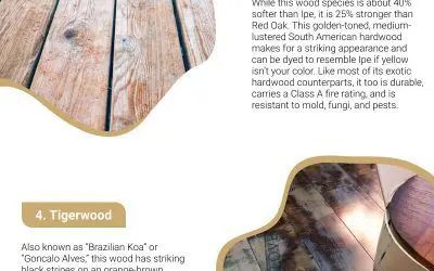 6 Popular Exotic Wood Species For Your Home