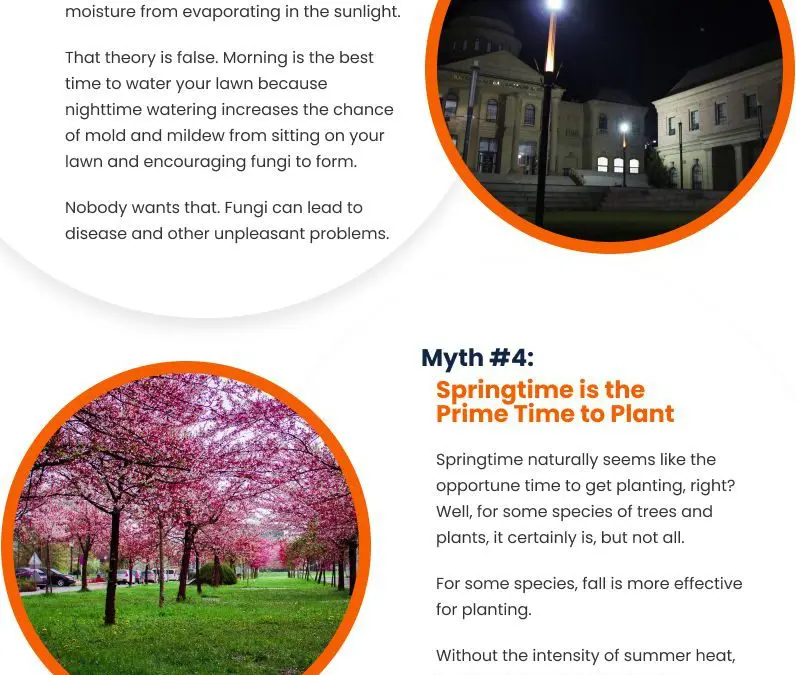 7 Misconceptions About Landscaping