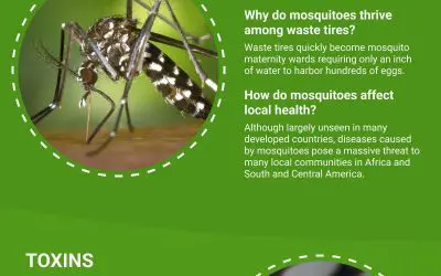 How Tire Recycling Improves Local Health