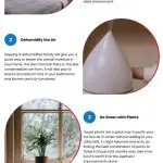 4 Ways to Get Rid of Window Mold 4 Ways to Get Rid of Window Mold Infographic