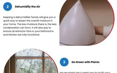 4 Ways to Get Rid of Window Mold