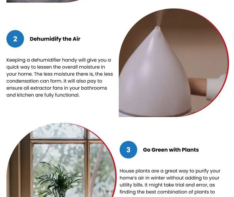 4 Ways to Get Rid of Window Mold