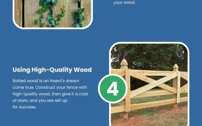 7 Ways to Save Wood from Pests