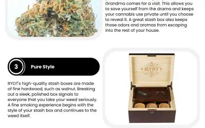 5 Reasons to Use Stash Boxes