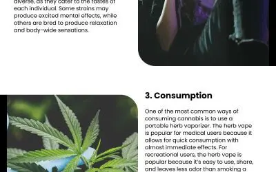 4 Facets of Cannabis