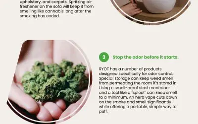 5 Ways to Remove Weed Smell