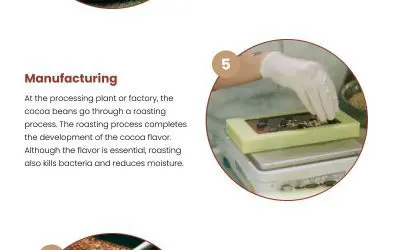9-Step Process of Chocolate Creation