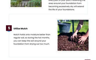 9 Landscapes to Protect Your Home’s Foundation