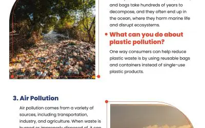 4 Types of Pollution and How We Can Solve Them