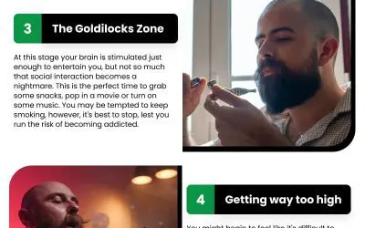 6 Phases of Herb Smoking