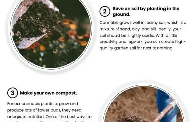 4 Tips for Growing Cannabis on a Budget