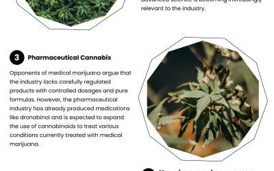 5 Predictions for the Future of Weed