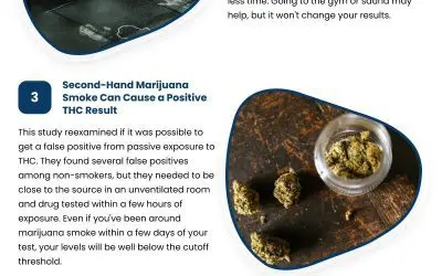 5 Myths About Drug Testing