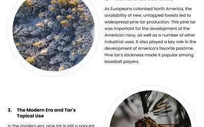 4 Historical Facts About Pine Tar