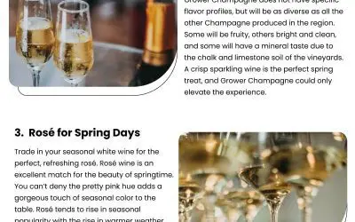 4 Wine Pairing Ideas