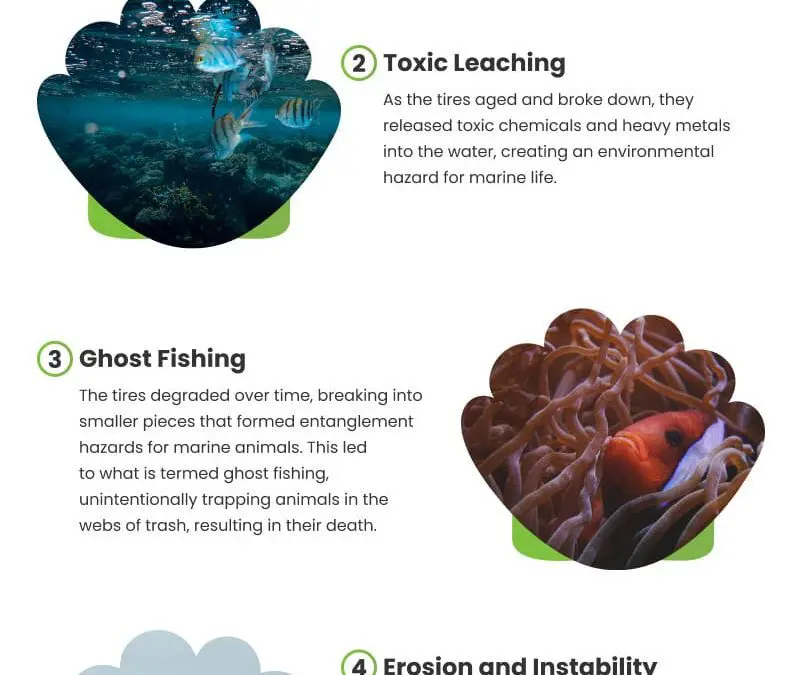 5 Artificial Reef Construction Lessons