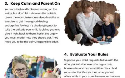 6 Child Custody Tips