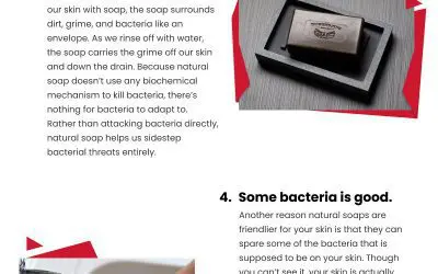 6 Natural Pine Tar Soap Advantages