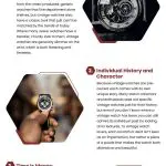 3 Vintage Watch Advantages 3 Vintage Watch Advantages Infographic