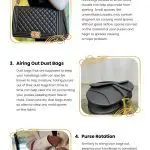 5 Mold-Free Handbag Tips 5 Mold-Free Handbag Tips Infographic