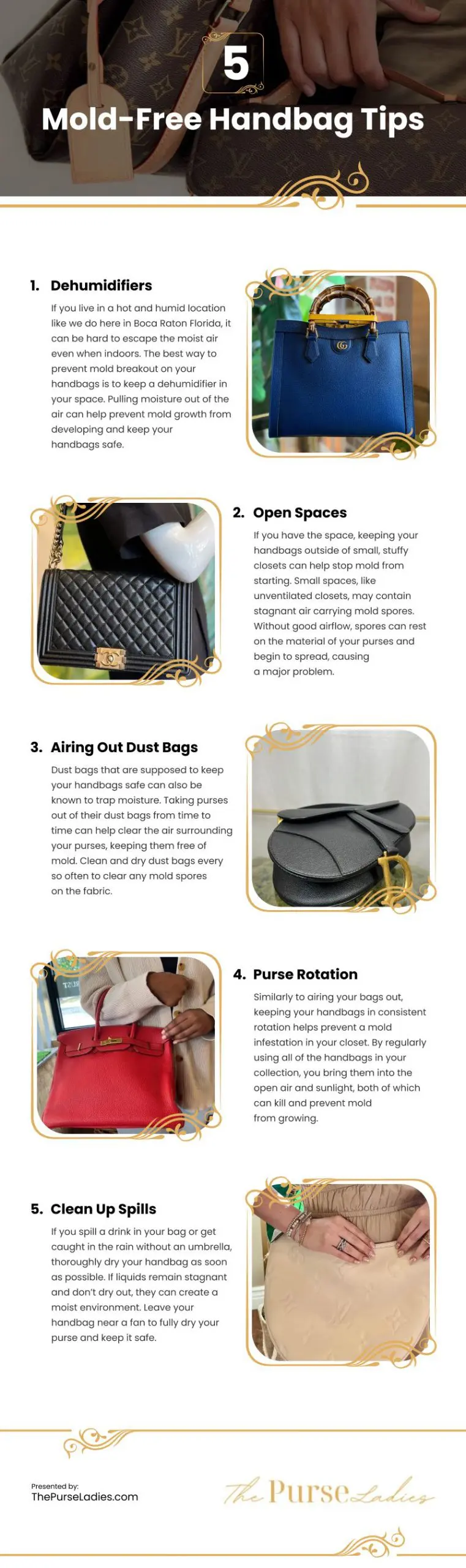5 Mold-Free Handbag Tips 5 Mold-Free Handbag Tips Infographic