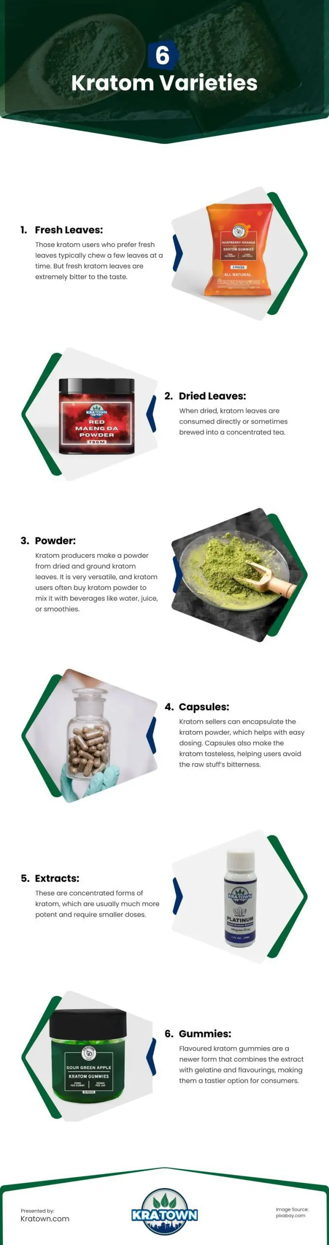 6 Kratom Varieties Infographic