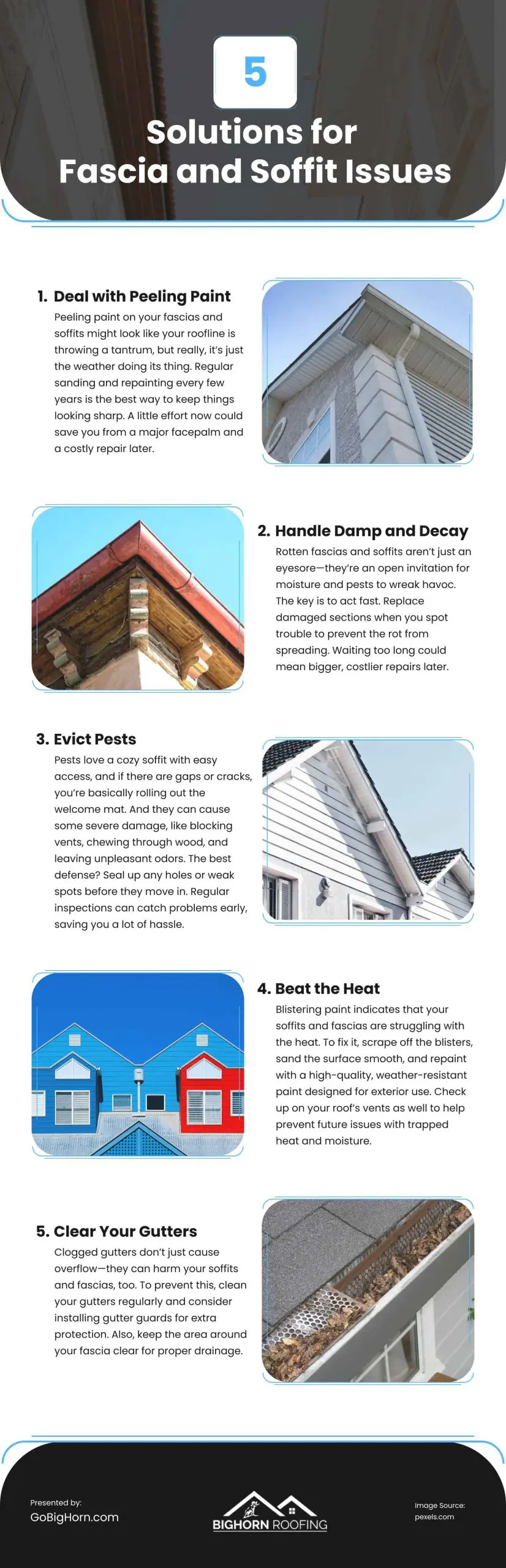 5 Solutions for Fascia and Soffit Issues 5 Solutions for Fascia and Soffit Issues Infographic