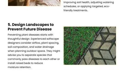9 Reasons to Call a Landscape Expert for Plant Diseases