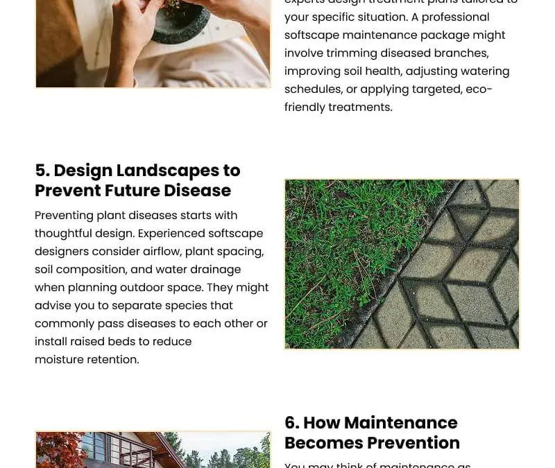 9 Reasons to Call a Landscape Expert for Plant Diseases