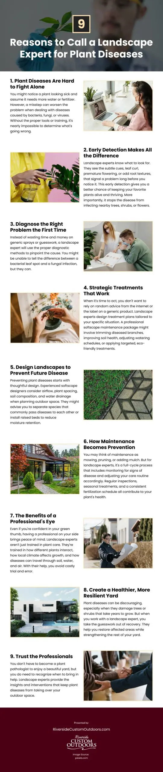9 Reasons to Call a Landscape Expert for Plant Diseases 9 Reasons to Call a Landscape Expert for Plant Diseases Infographic