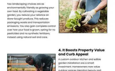 6 Reasons to Start a Backyard Vegetable Garden