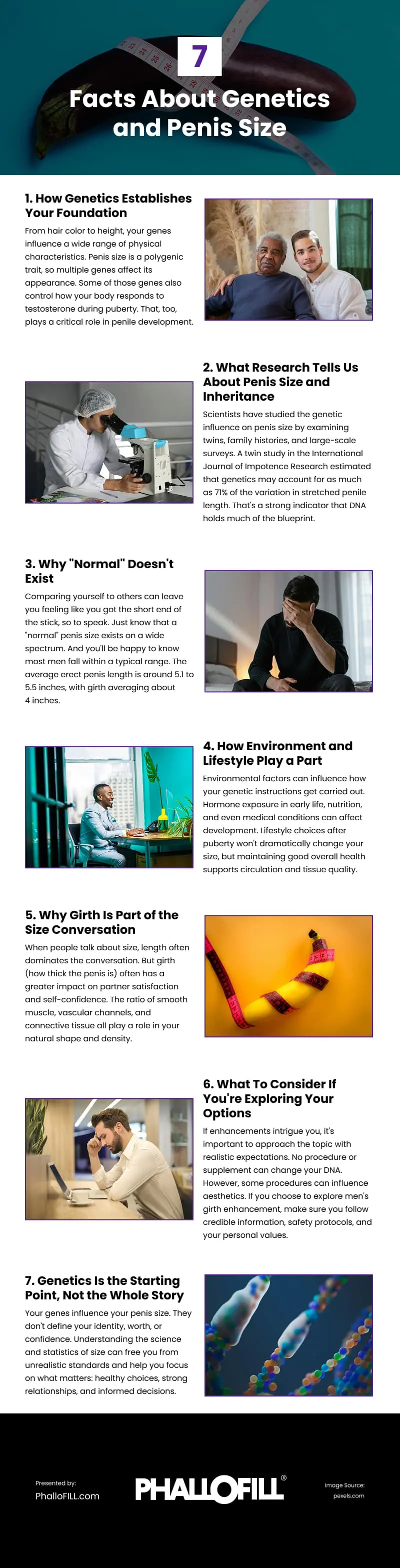 7 Facts About Genetics and Penis Size Infographic