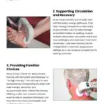 4 Benefits of Cold Laser Therapy for Acupuncturists 4 Benefits of Cold Laser Therapy for Acupuncturists Infographic